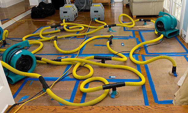 Professional Crawl Space Water Removal technician working in Kirkwood, CA